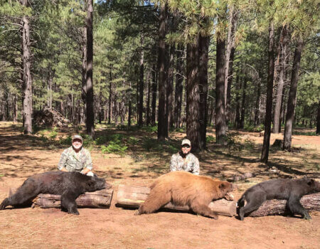 wta_1130__featured_9LAQI2_TomDavidPhoto2