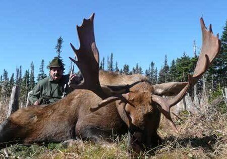 wta_1135_X6Q62W_moose-hunt-2010