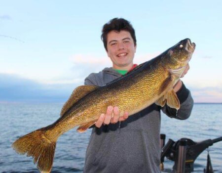 wta_1137_SU3IXH_walleye5