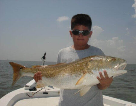 wta_1139_ULPCDH_redfish7