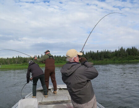 wta_1152_83K0FC_4french16