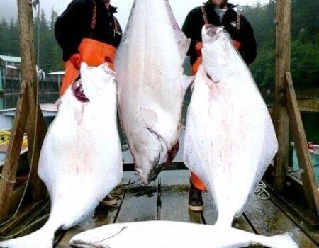 wta_1159_AOGXV7_44280_565078622774_202302670_32629055_5214851_nA