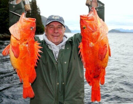 wta_1159_C9U5ZU_IMG_3858a