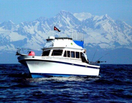 wta_1159_D8ZSZH_IMG_4481aaaa