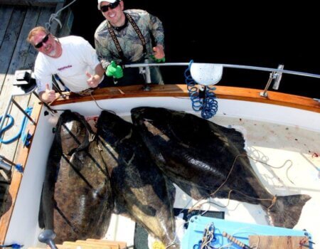 wta_1159_EJKCI5_IMG_9979a