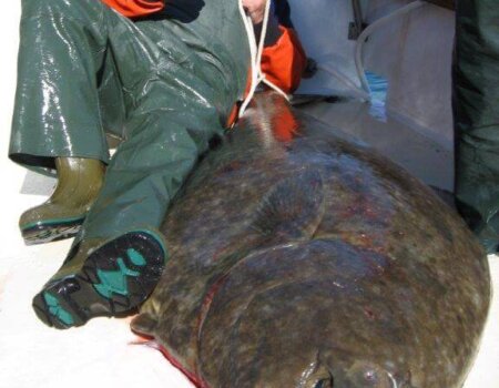 wta_1159_ES0QF2_214JerryPSh2