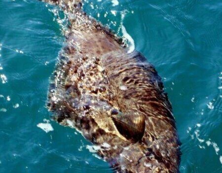 wta_1159_F3X2KV_IMG_3690aa