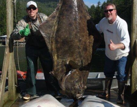 wta_1159_GYYVXV_IMG_0052