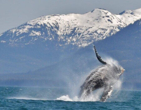 wta_1159_H86N9V_185287_649146124735_93404828_34637493_3910806_n