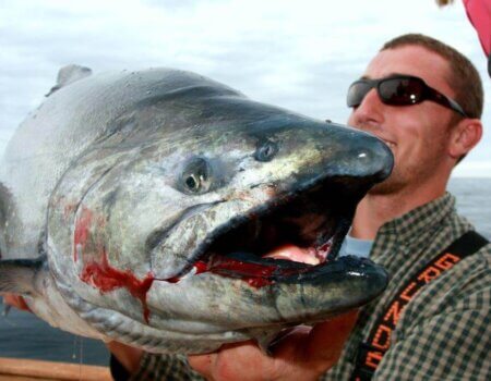 wta_1159_JEYJ20_IMG_4229a