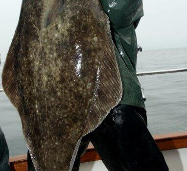 wta_1159_KSEM68_46IMG_1622