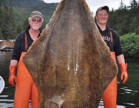 wta_1159_N35AD9_294620_1725883085719_1797661289_1198406_6595704_n