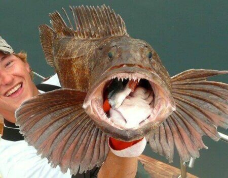 wta_1159_NC5Y6C_41209_1572213267485_1300110449_31559678_686846_nA