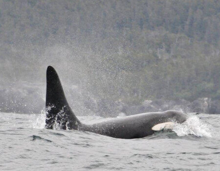 wta_1159_Q98KWM_198734_649146389205_93404828_34637509_3461414_n