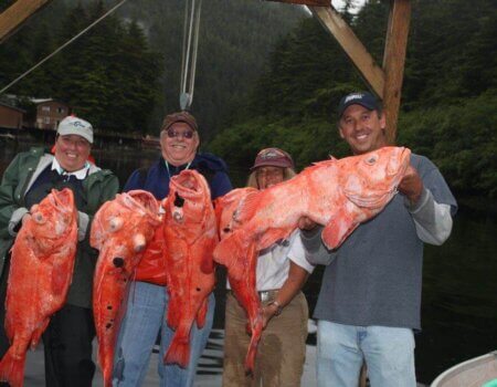 wta_1159_TEACQF_IMG_1657