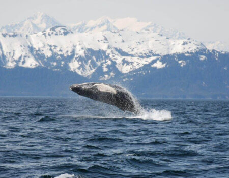 wta_1159_XHHUVL_DSC_0101s