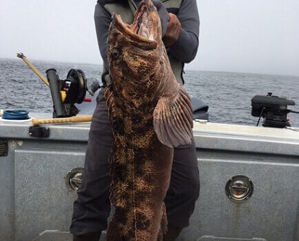 wta_1161_4B3TWB_BradSaalsaa3