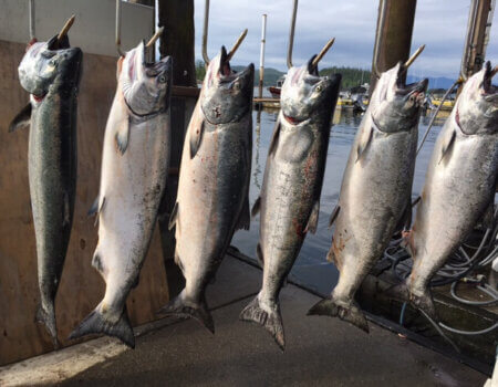 wta_1161_EQLEAZ_IMG_0382