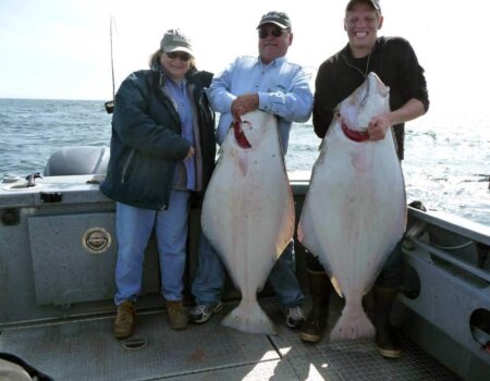 wta_1161_KXPMK7_halibut