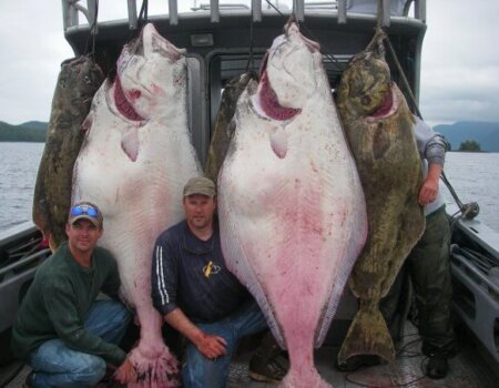 wta_1161_NMFXKD_halibut2