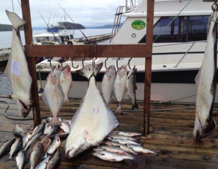 wta_1161_RXUB86_IMG_0357