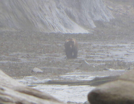 wta_1170_GOLZF2_IMG_0195