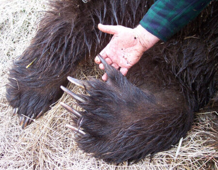 wta_1170_L5T3R7_000_0011