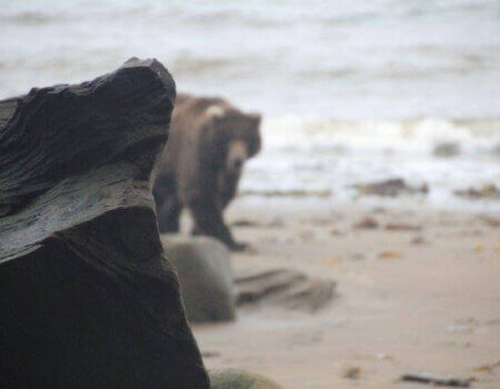 wta_1170_M7HMHC_IMG_1399