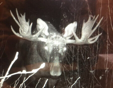 wta_1176_O2MUHN_IMG_2058