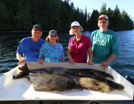 wta_1179_2R0A0041 (2)