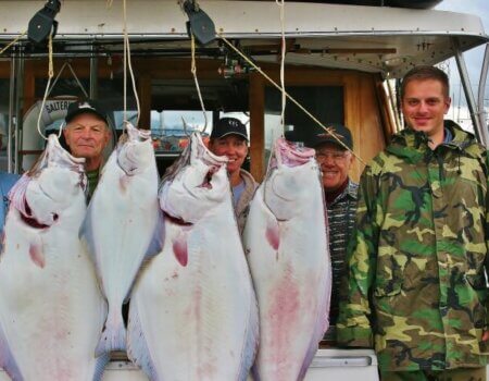 wta_1179_BXPI35_Cabelashalibut