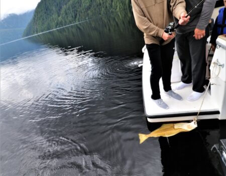 wta_1179_HH3A8776 (2)