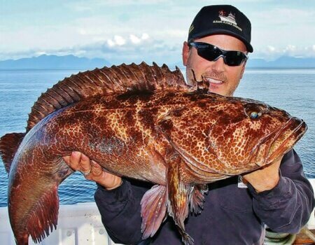 wta_1179_P4B7S1_Cabelaslingcod