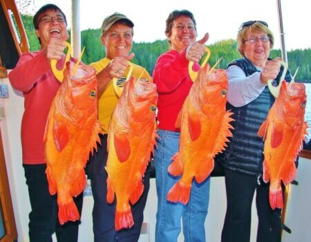 wta_1179_U79LDL_Cabelasyelloweye1