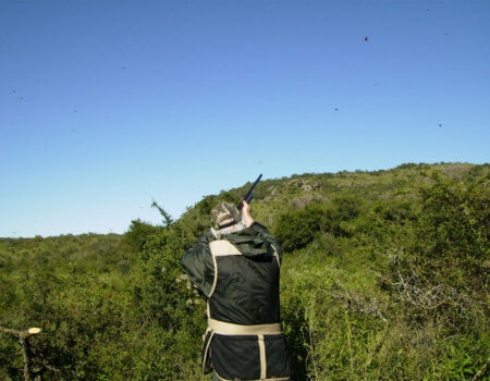 wta_1190_3I4NQP_CordobaOut4