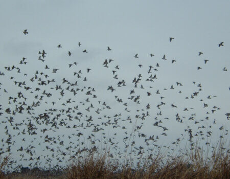 wta_1190_E73JY6_2005_0617Imagen0012