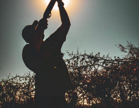 wta_1190_IM 3 Action Sun