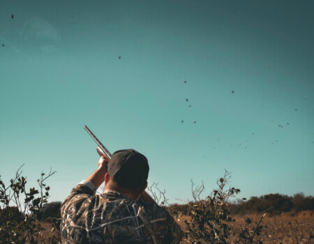 wta_1190_IM 4 Action Birds