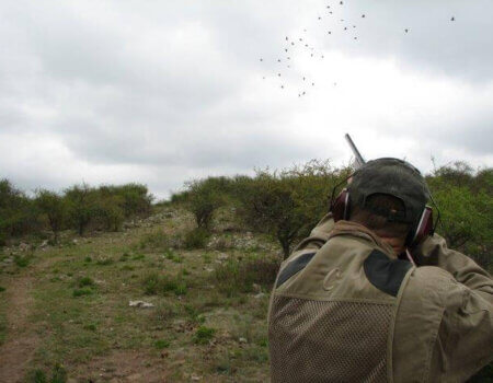 wta_1190_WTDB4M_JasonPicts021