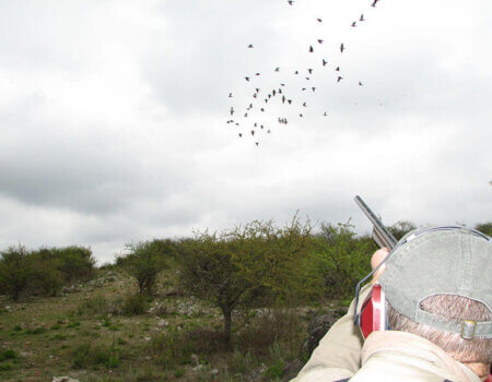 wta_1190__featured_NJJCFI_JasonPicts031