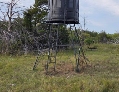 wta_1201_Screenshot_20260116_093507_Gallery