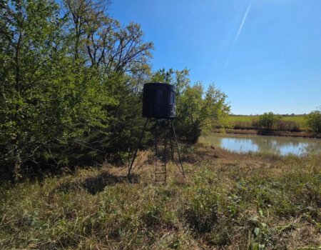 wta_1201_Screenshot_20260116_093540_Gallery