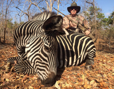 wta_1204_3M6IQD_Moz-zebra