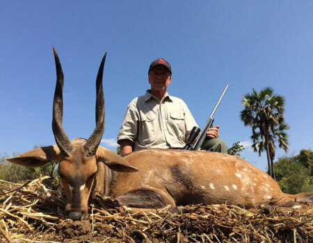wta_1204_AQIJGE_Moz-bushbuck