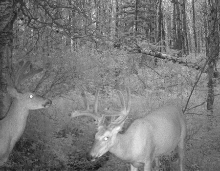 wta_1216_LMFKYT_HUNT0261