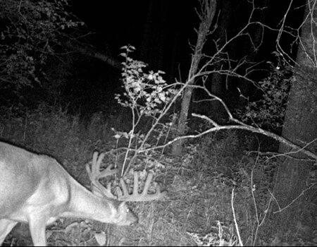 wta_1216_WYBX4E_HUNT0081