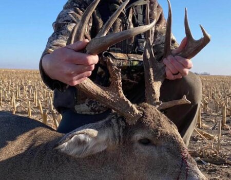 wta_1228_Whitetail 3