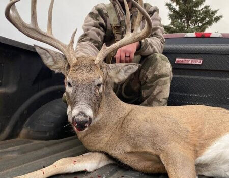 wta_1228_Whitetail 5