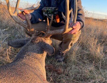 wta_1228_Whitetail 8