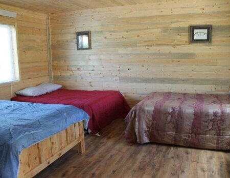 wta_1239_0GBJ3U_Cathouseinside